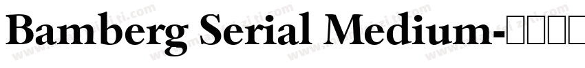 Bamberg Serial Medium字体转换